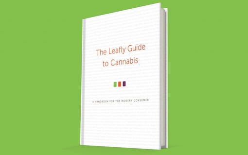 Announcing the Release of ‘The Leafly Guide to Cannabis’ | Leafly