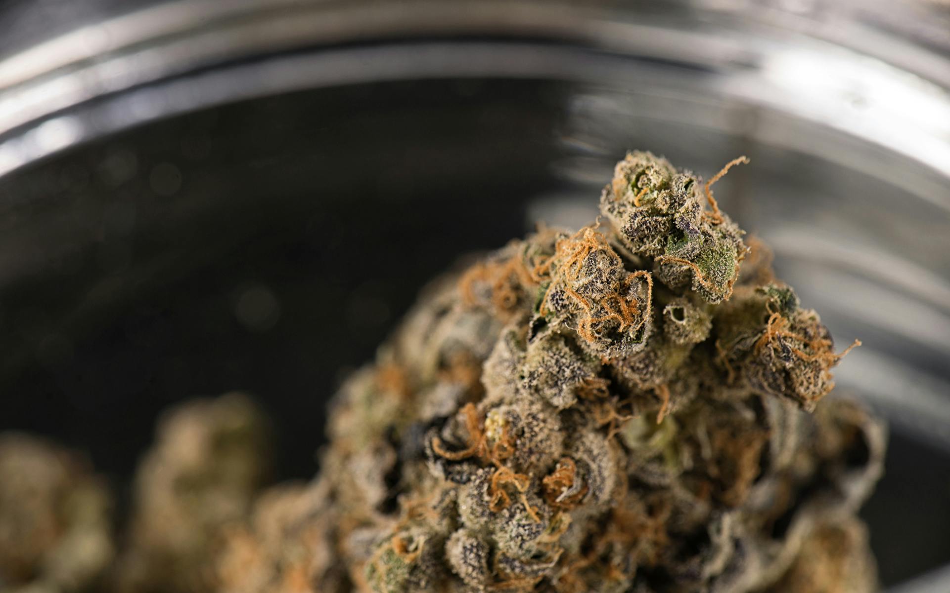 6 Ways to Save Money by Making Your Cannabis Last Longer image