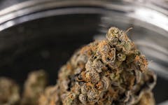 6 Ways to Save Money by Making Your Cannabis Last Longer