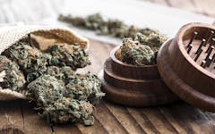 Dispensaries With the Largest Marijuana Selections | Leafly