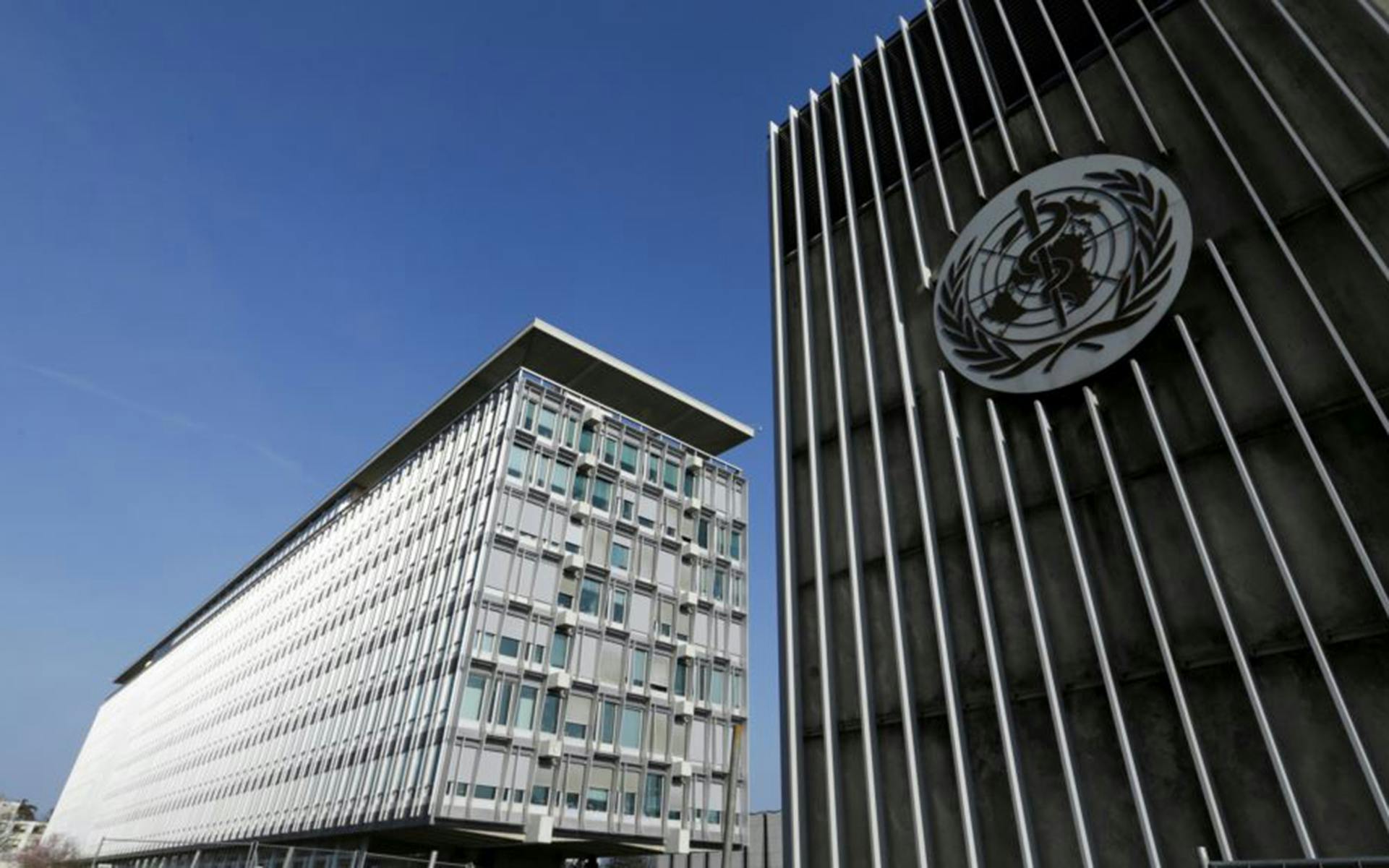 Medical Cannabis Advocate to Talk CBD at WHO image