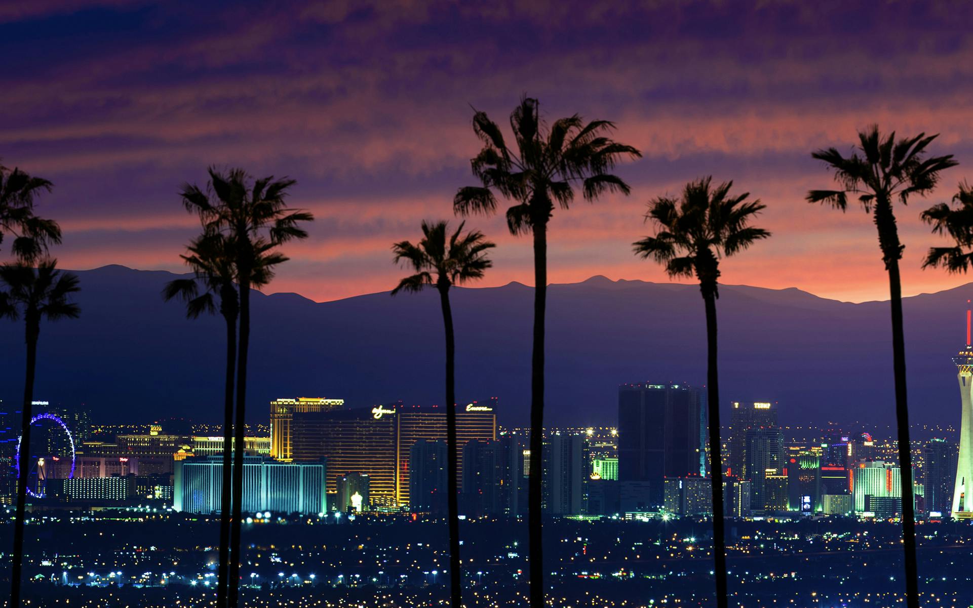 How to Get High in Las Vegas image