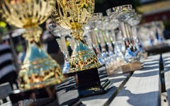 How to Become a Judge at a Cannabis Competition