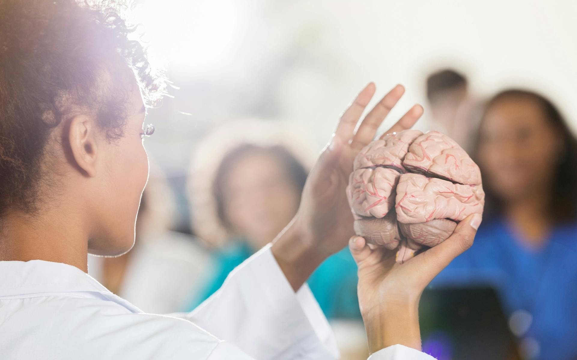 Study Finds Underage Use Alters Brain Connectivity image