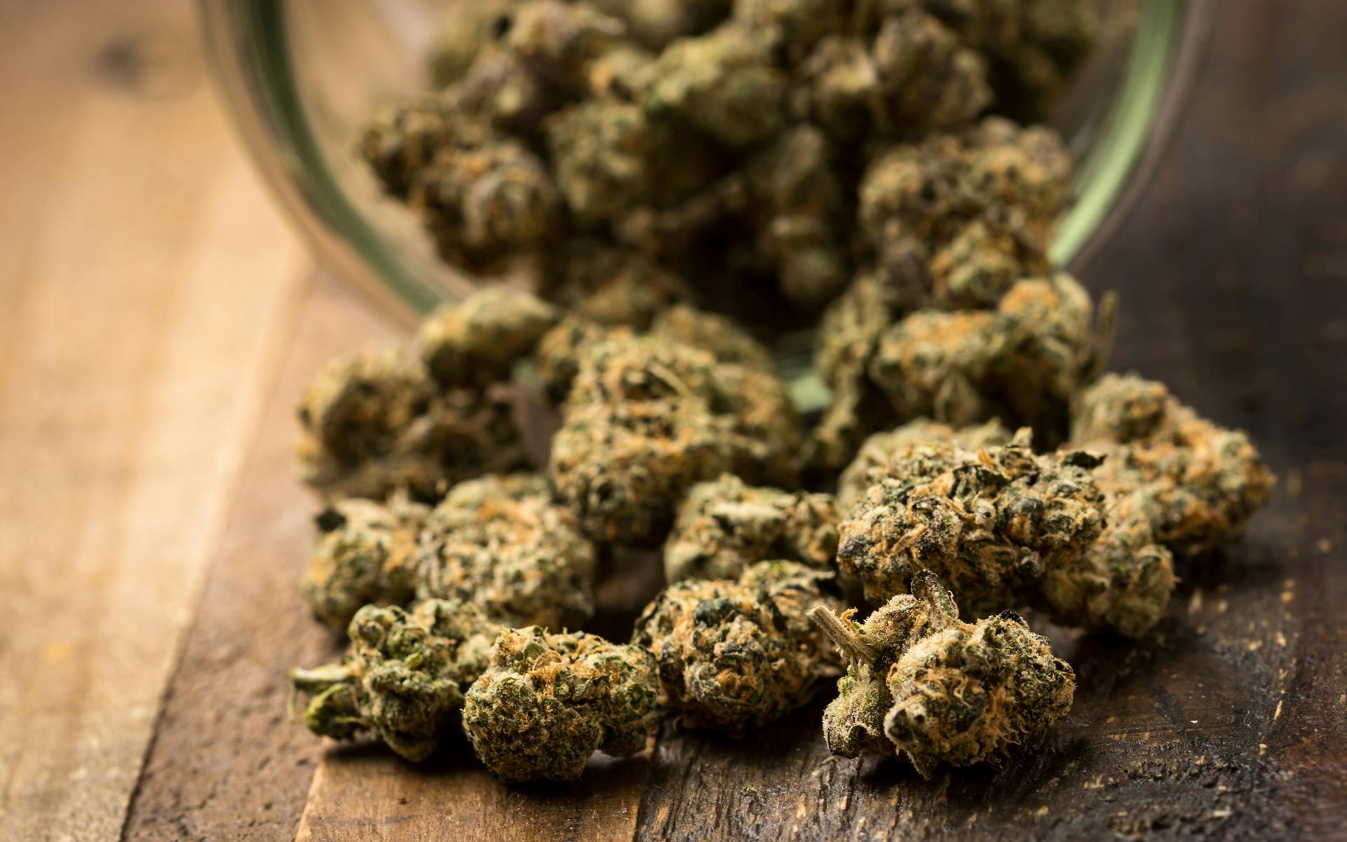 11 Unsung Cannabis Strains Worth Discovering image