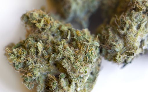 Middlefork's flavors of bright citrus, sweet dough, and subtle spice release on the exhale, retaining the impressive nuances of its aroma.