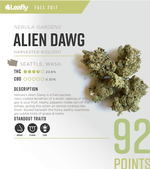 Characteristics of Nebula Gardens' Alien Dawg cannabis strain, the #4-rated THC-dominant strain in Washington state for fall 2017
