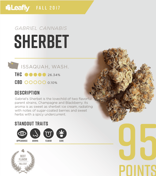Characteristics of Gabriel Cannabis' Sherbet cannabis strain, the #2-rated THC-dominant strain in Washington state for fall 2017