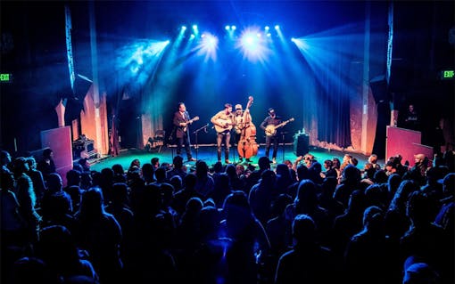 Bluegrass and jazz musicians share a love for improvisation, and surprisingly similar views on cannabis.