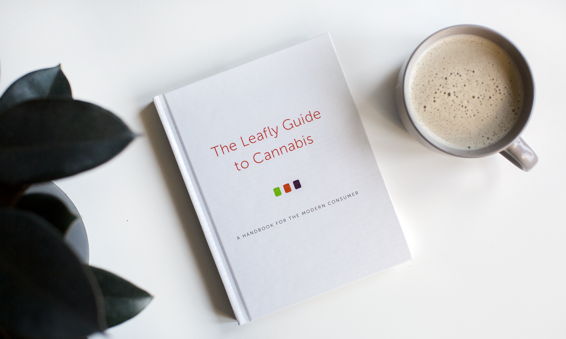 ‘the Leafly Guide To Cannabis Is Now Available For Purchase Leafly