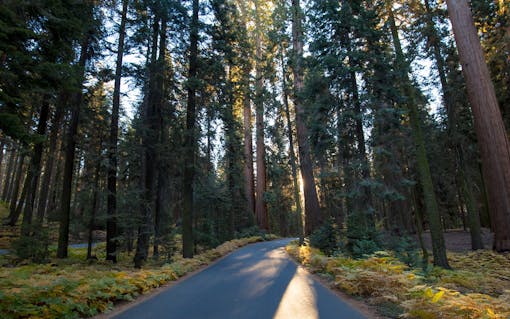 DAY TWO: BEYOND THE REDWOOD CURTAIN