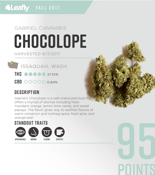 Gabriel Cannabis' Chocolope: the 4th-best-tasting strain in Washington state for fall 2017