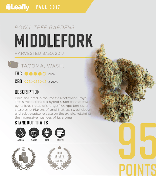 Royal Tree Gardens' Middlefork: the 3rd-best-tasting strain in Washington state for fall 2017