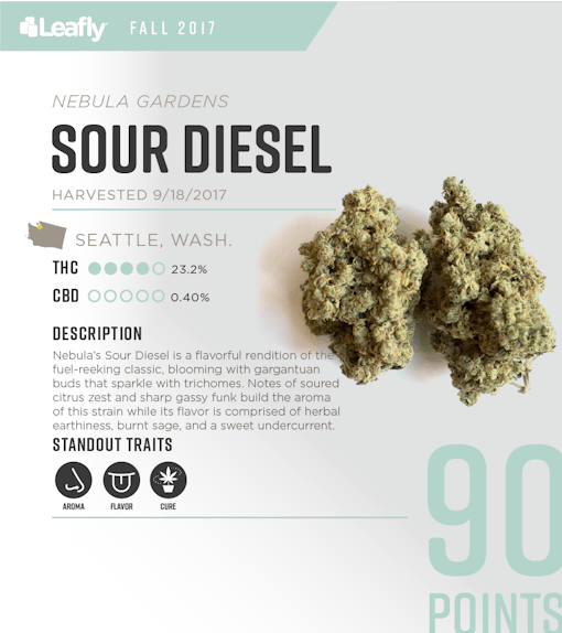 Nebula Gardens' Sour Diesel: the 5th-best-tasting strain in Washington state for fall 2017