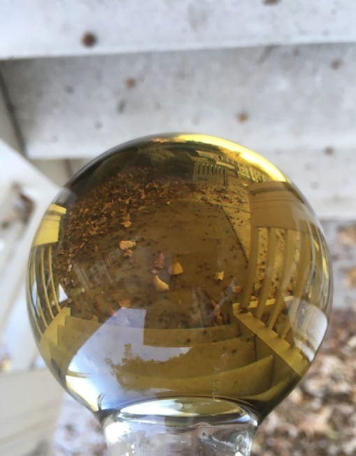 Cannabis distillate produced by Summit Research