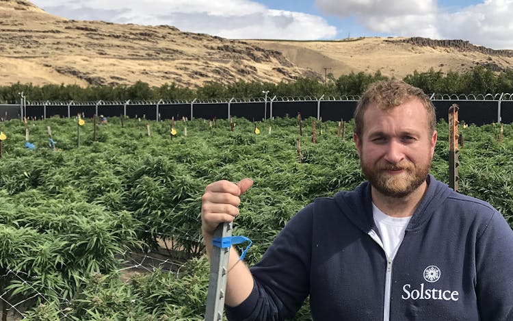 Grower Stories: How 5 Cultivators Came to Thrive in the Legal Cannabis Market image