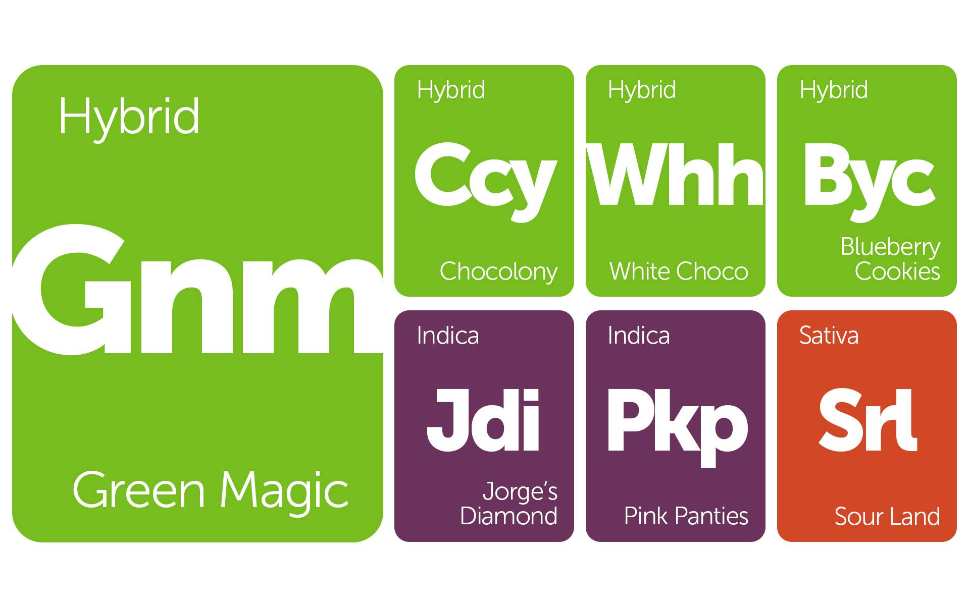 New Strains Alert Blueberry Cookies, White Choco, Green Magic, and