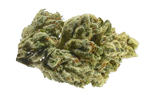 OG Kush changed the game as the first strain of the hybrid era to become a cultural touchstone.