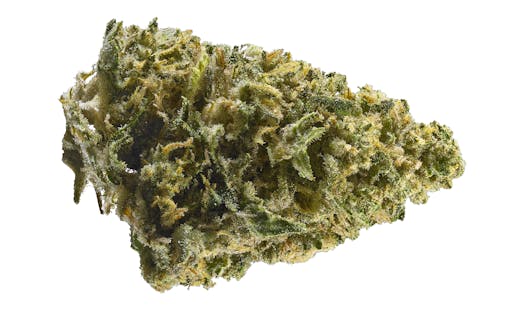 Northern Lights #5 was easy to grow indoors or out, allowing the mass market to develop a taste for something more elevated than schwag.