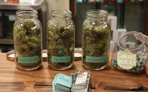 Blue Dream on Disjointed