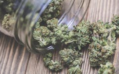 7 Signs It Might Be Time for a Break From Cannabis