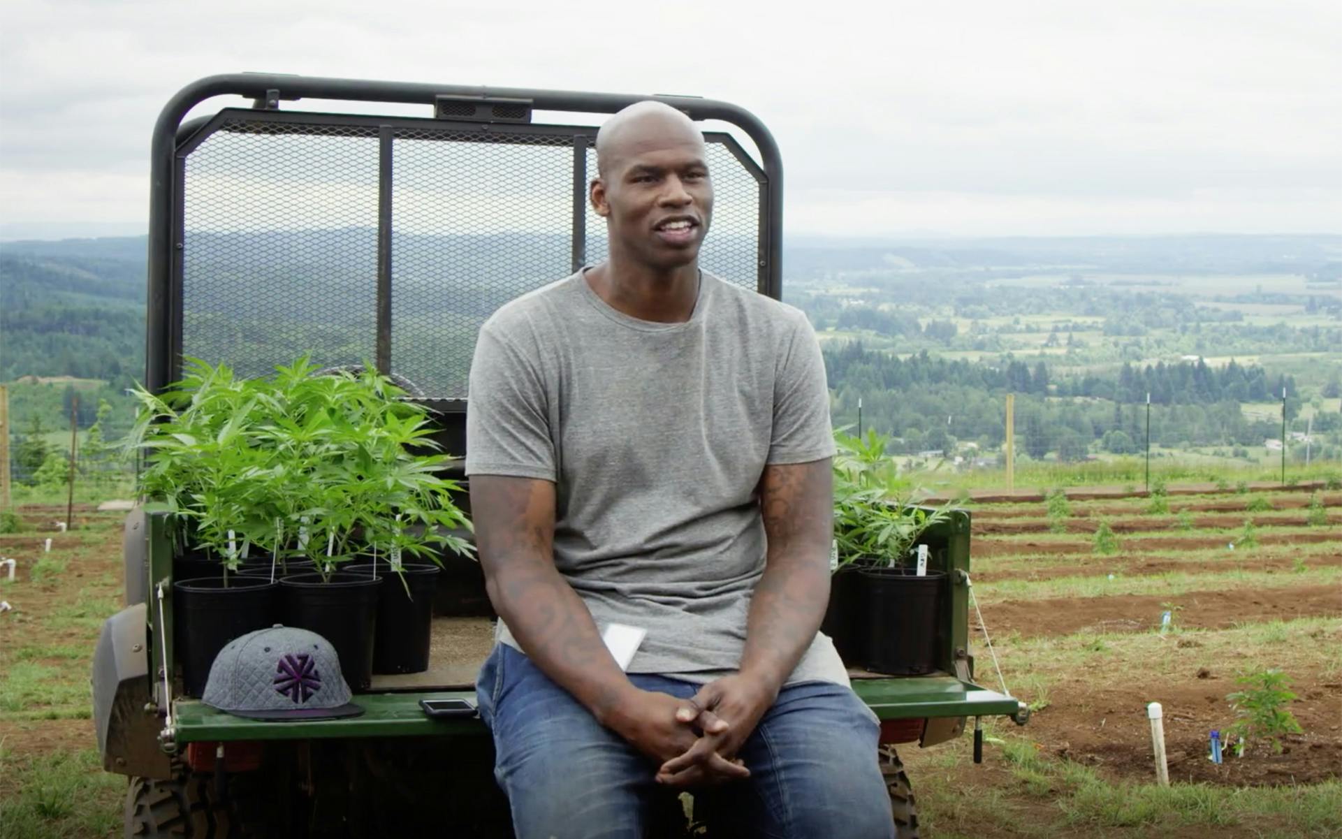 9 Things We Learned From 'The Concept of Cannabis' Documentary image