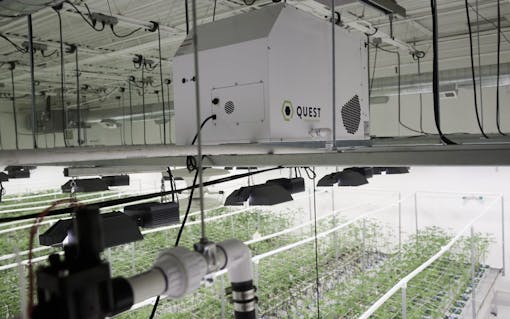 Dehumidifier in cannabis grow op