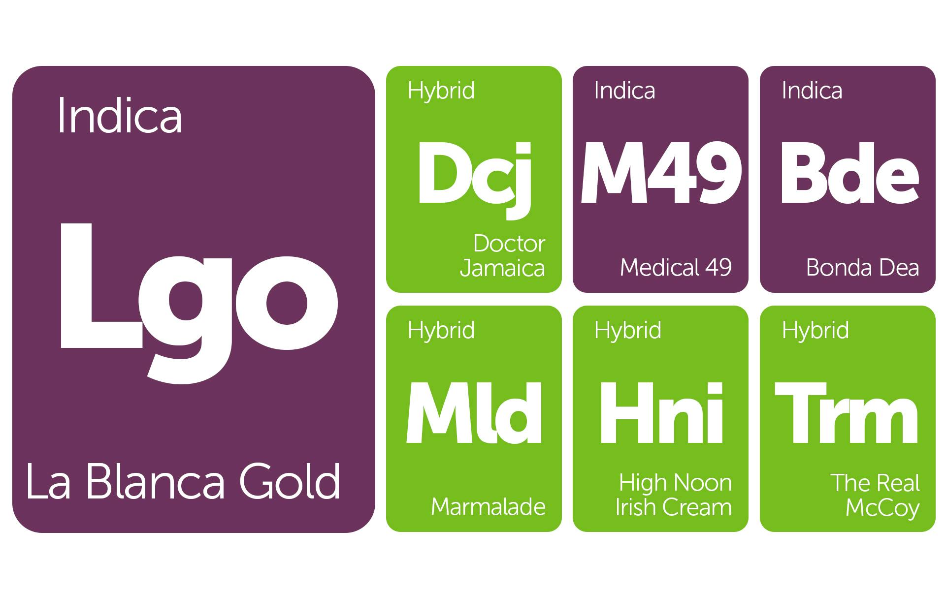 New Strains Alert Marmalade, La Blanca Gold, and More Leafly