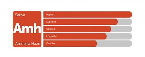Amnesia Haze classic weed strain tile