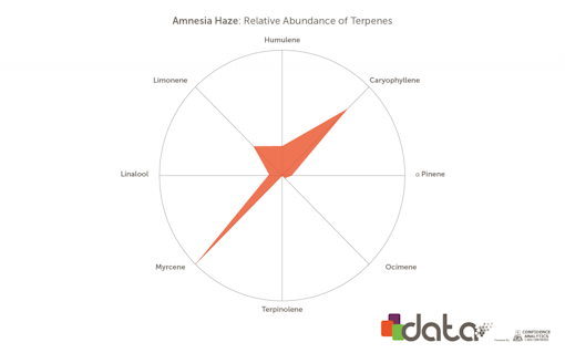 Terpenes in Amnesia Haze marijuana strain