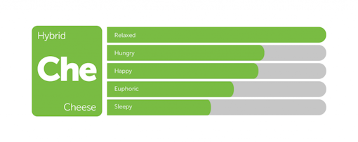 Cheese classic weed strain tile