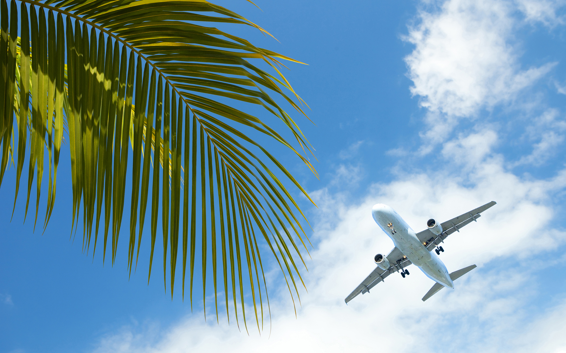 Jamaica Its First Legal Cannabis Retailer Leafly