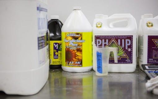 liquid nutrients for cannabis