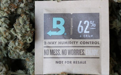How to keep your weed fresh: Boveda humidity packs.