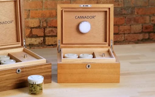 How to keep your weed fresh: Cannabis humidors and Cannador.