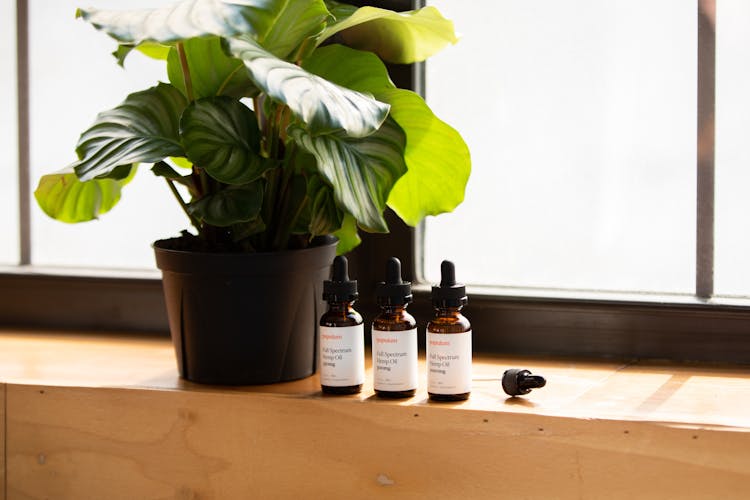 CBD tincture for beginners image