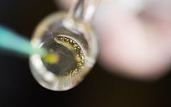 avid-dabber-quatz-banger-clean-dab