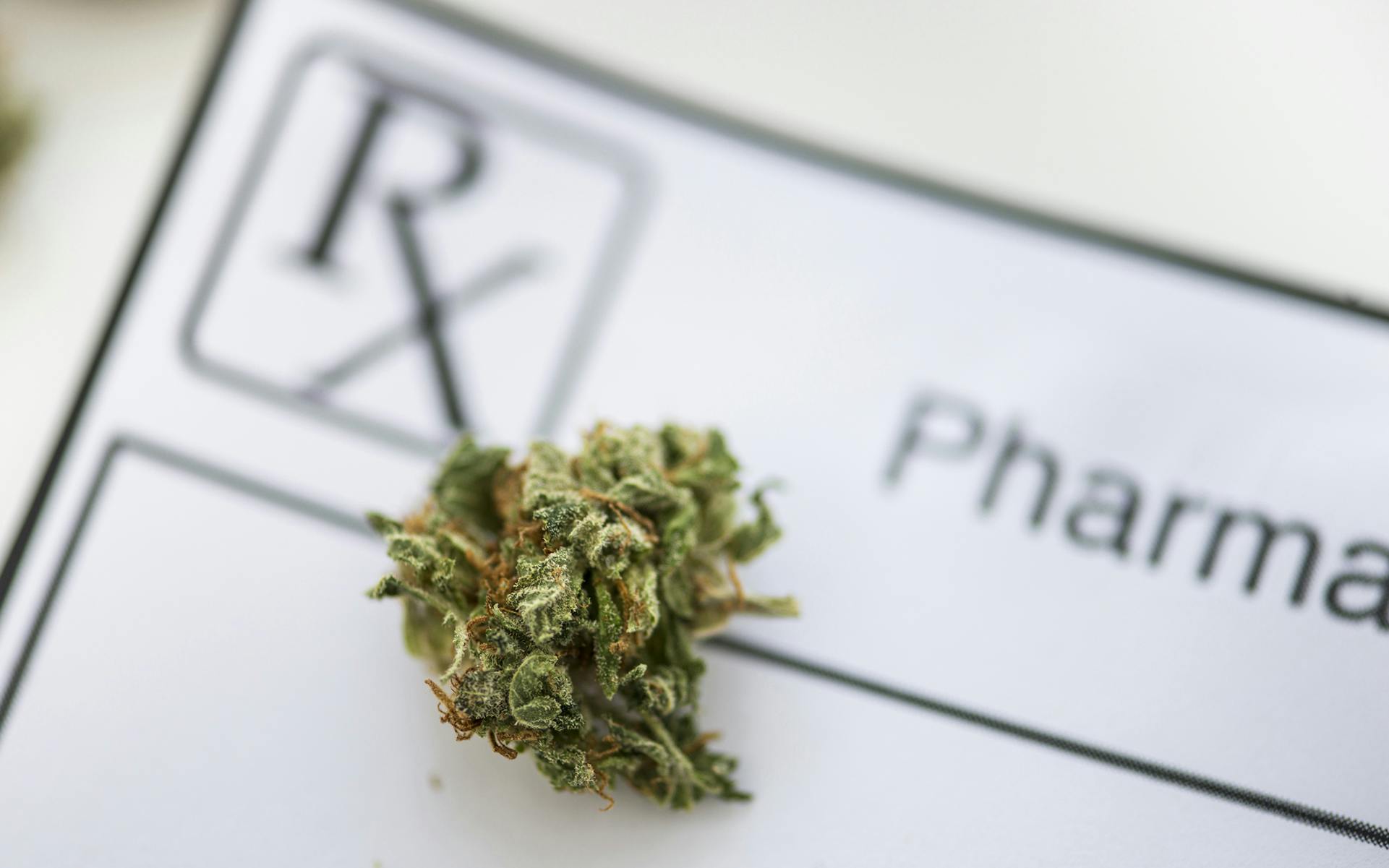 Two New Studies Find Cannabis Reduces Opioid Prescriptions image
