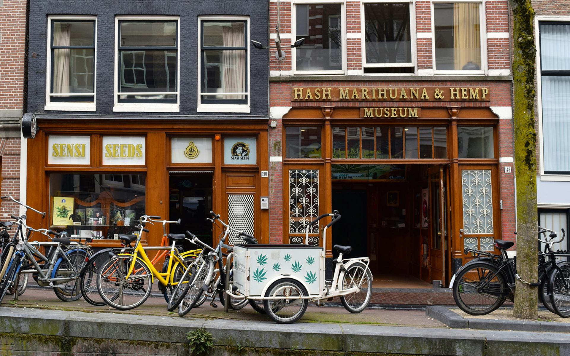 Inside the Hash Marihuana & Hemp Museum image