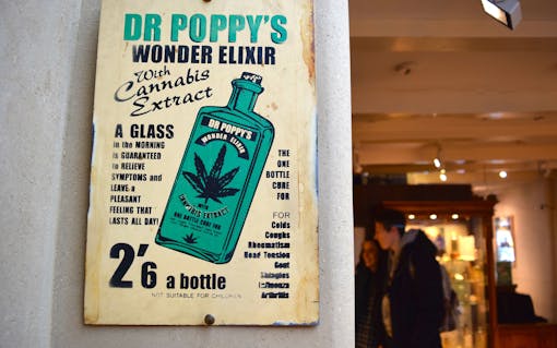 “The museum is about spiritual, medicinal, and recreational use. It's about cultural use, and it's about industrial use.”