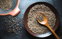 Hemp seeds on a plate and in a sieve on a gray blue stone horizontal