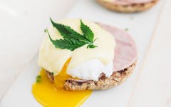 weed infused eggs benedict