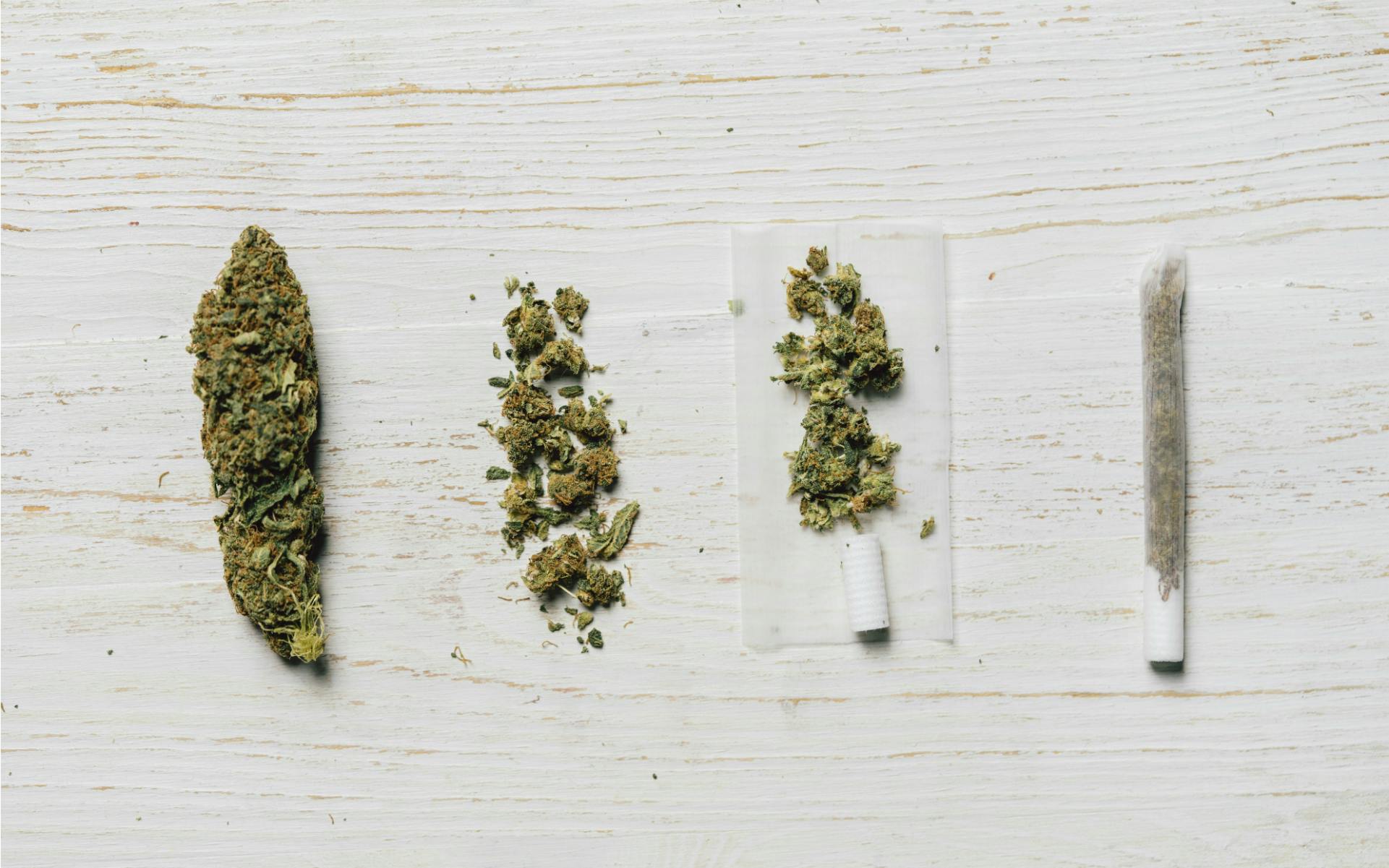 Florida legal weed push gets mixed reviews image