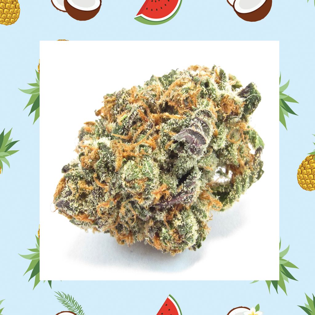 Mimosa (David Downs/Leafly)