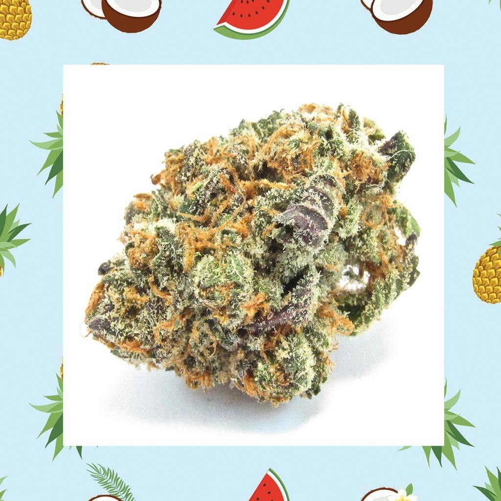 Mimosa (David Downs/Leafly)