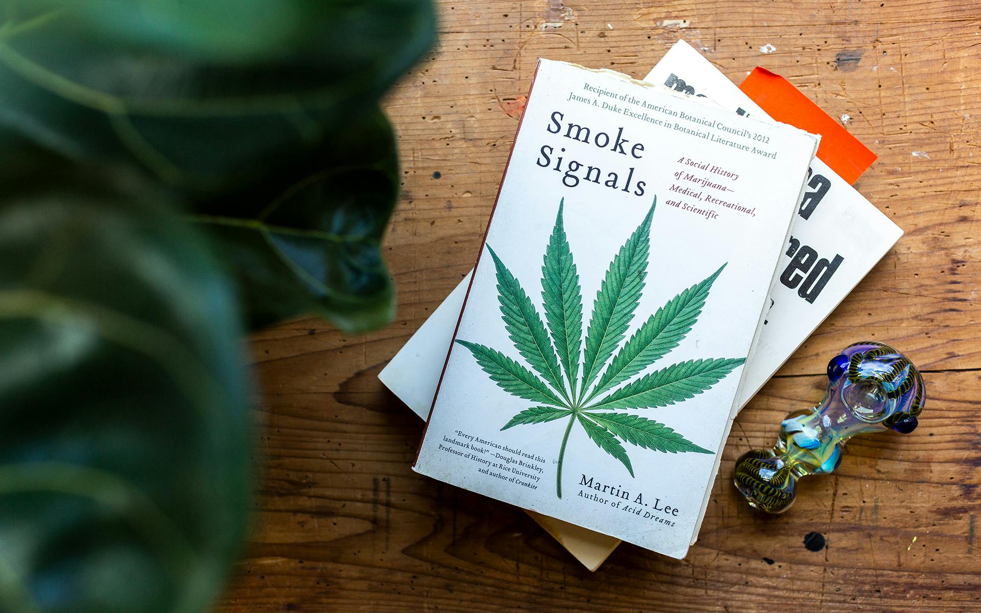 12 cannabis books that changed the game image