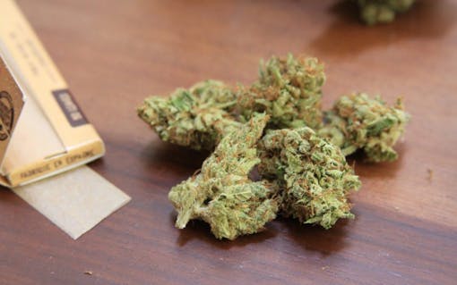 California weed strain #5: Pre-98 Bubba Kush