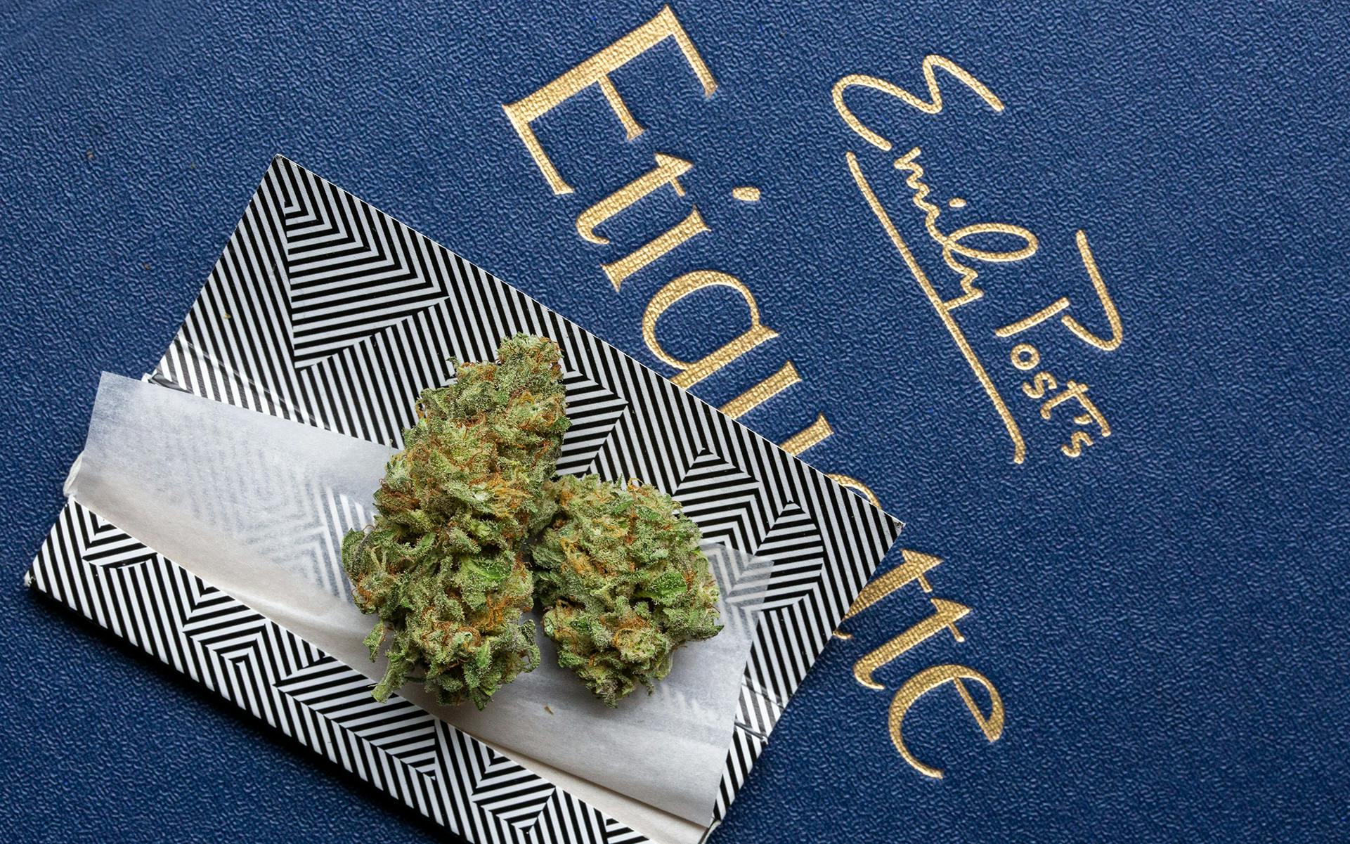 Lizzie Post Can Help Vermont Brush Up on Weed Etiquette image