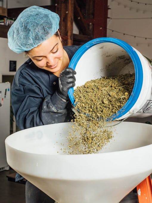 Heylo's cannabis extraction process part 1: loading the weed