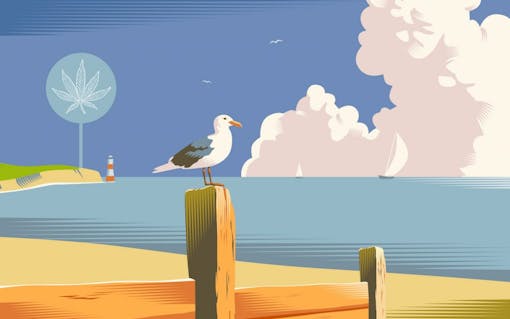 Best place to smoke a joint: Massachusetts